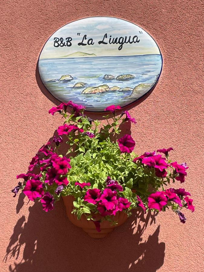 B&B La Lingua Procida Exterior foto
